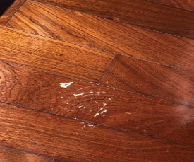 彩钢瓦油漆91视频区导航